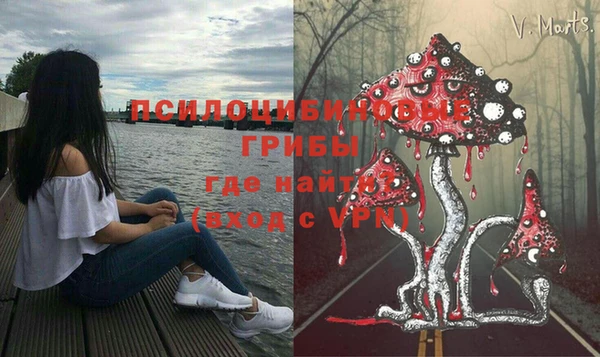 ПСИЛОЦИБИНОВЫЕ ГРИБЫ Карпинск