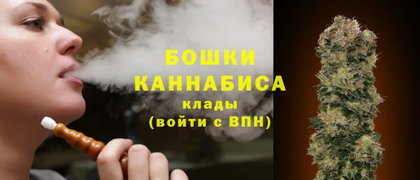 амф Касимов