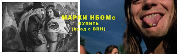 амф Касимов