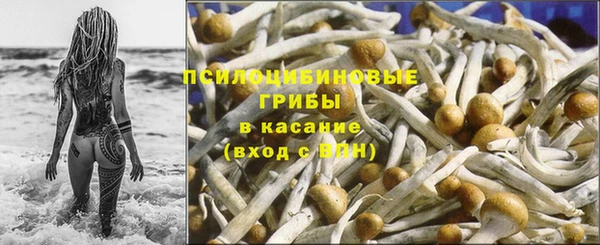ПСИЛОЦИБИНОВЫЕ ГРИБЫ Карпинск