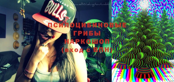 амф Касимов