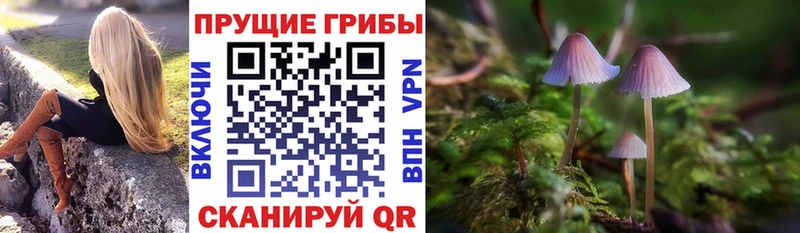 Галлюциногенные грибы Psilocybe  Купить закладки  Кимры 